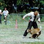 1990-alpha-asfaux.jpg