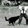 1990-beauceron-ech3-barouk-barde.jpg