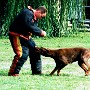 1995-gily-de-la-pointe-du-loup-baurier.jpg