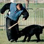 1997-imker-duroux.jpg