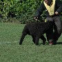DSC_0006.JPG