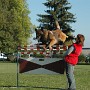 DSC_0016.JPG