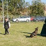 InterRaces2011 650.jpg