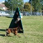 InterRaces2011 137.jpg