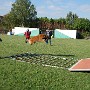 InterRaces2011 033.jpg