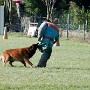 InterRaces2011 035.jpg