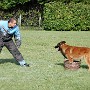 InterRaces2011 041.jpg