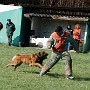 InterRaces2011 044.jpg
