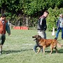 InterRaces2011 047.jpg