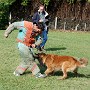 InterRaces2011 050.jpg