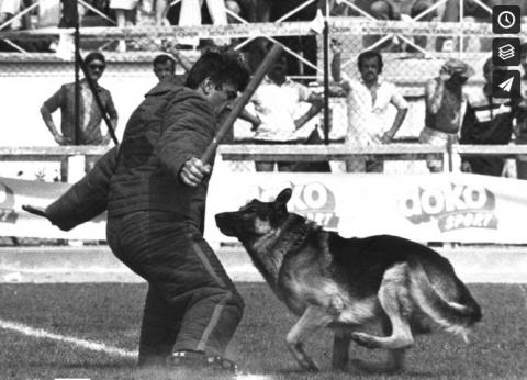 1985- Championnat de France en Ring à Antibes 2/2